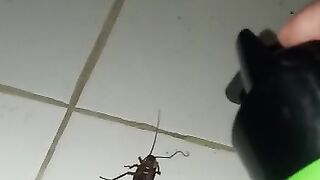 satisfying video