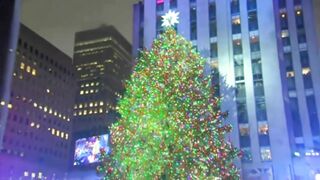 Andy Williams - It's the most wonderful time of the year