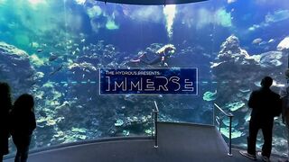Journey into the Deep Sea - VR | National Geographic