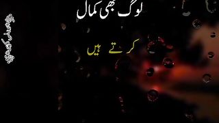 Kamal krty hain