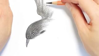 Drawing 24