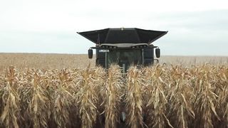 FENDT IDEAL 10T + 939 Vario bei der Maisernte 2023/ Corn Harvest 23