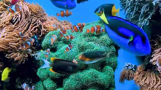 Swim Swim Swim... #nature #social #family