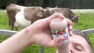 What think the cow ??