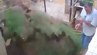 НЕВЕРОЯТНЫЕ СТИХИЙНЫЕ БЕДСТВИЯ, ПРОИСХОДЯЩИЕ ПО ВСЕМ МИРУ