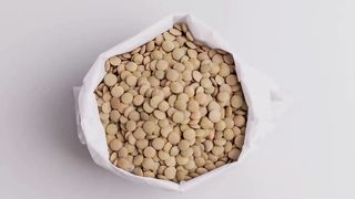 Falafel Recipe 2