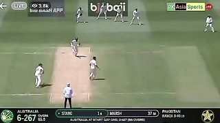Mir hamza take 1st international wicket
