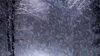 Amazing video 171