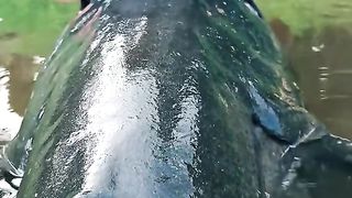 Fishing 38