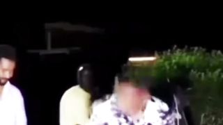 Attacked by bats