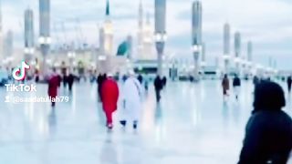Toba video