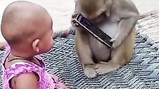 The mobile lover