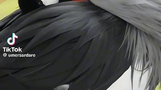 World most beautifuly birds