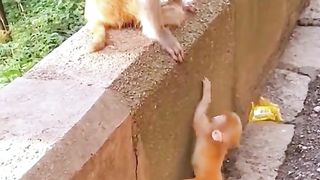 Help me to climb mom
