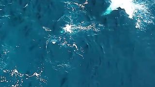 Amazing videos vol 140