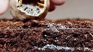 Amazing videos vol 144