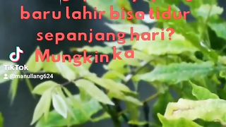 #lucu-ngakak