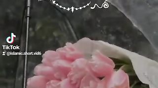 short videos 3