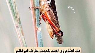 عُوذُ بِاللَّهِ مِنَ الشَّيطَانِ الرَّجِيمِ