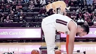 #JasonDeruloTV __That Dog????#GotPermissionToPost From @castoinev#SlowLow.