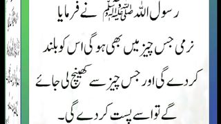اسلامی معلومات Like share follow 270