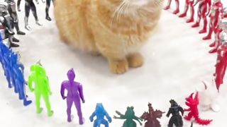 Mpuuuus Oyen Terkepung