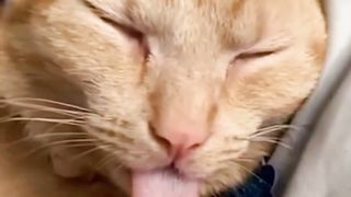 Isengin Mpuuuus Oyen