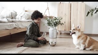 Baby Dogs Cute and Funny Dog Videos Compilation