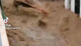 Hamburg flood