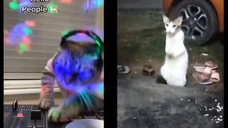 DJ Cat served all night until he fell ill#fyp