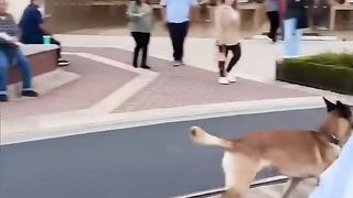 the end ???????? #shorts #funny #fails #viralvideo 4