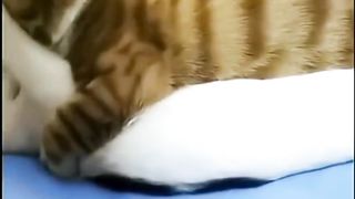Mpuuus Ketahuan Sedang Berduaan