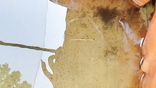 Larva lele umur 3 hari❗Sudah berenang dan menyebar memenuhi kolam