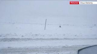 Storm Gerrit leaves drivers stranded in snow in 'major incident'