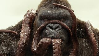 Movie Scene : Kong Skull