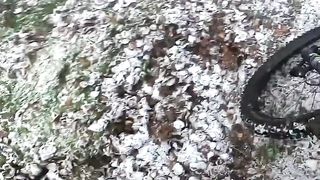 Biker Attacked by Multiple German Shepherds