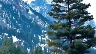 Snowfall on the Mountain of Mansehra District