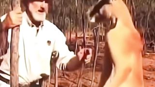 How to Fight a Kangaroo