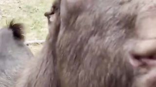 ???? cute animals ❤️❤️❤️❤️❤️❤️❤️❤️❤️❤️❤️❤️❤️❤️
