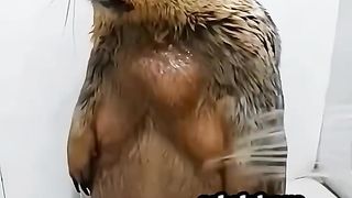 sedang mandi