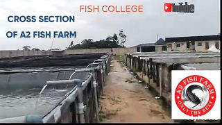 CROSS SECTION OF A2 FARM The biggest FISH FARM IN NIGERIA. Interactive section with Fish college.