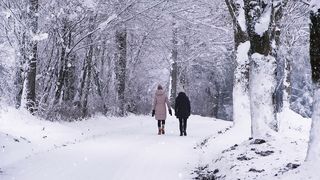 Winter Snow