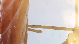 Sudah menanti pakan cacing sutera, larva lele berenang lincah