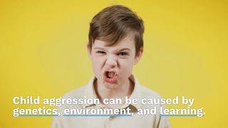 How to Treat Child Aggression