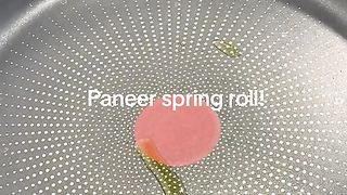 Paneer spring roll