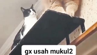 Mbuuul Kagak Sabaran
