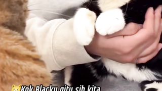 Blacky Jutek Buangetz Sama Mpuuuus Oyen