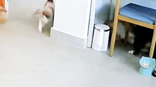 Mpuuuus Oyen Provokator