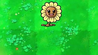 Sunflower Evolution (PVZ)