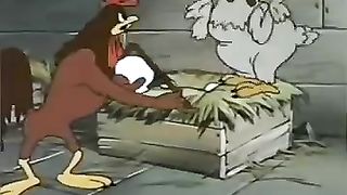 Hen and rooster ???? cartoon video